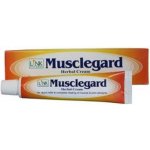 Link Natural bylinná ajurvedská mast na unavené svaly a klouby 25 ml – Zboží Mobilmania