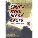 CHUEJ KCHE HLEDÁ CESTU - Wang Chung-Ťung; Dora Dutková – Hledejceny.cz