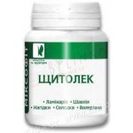 Mixofit "Štítná žláza" 45 tablet T157 – Hledejceny.cz