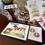 INSPIO Šablona MEGA sada vzdělávacích karet pro děti - 117 karet zvířat + 39 figurek s obrázkem 10x15 bílá, zelená, hnědá – Zboží Dáma