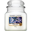 Yankee Candle Baby Powder 411 g