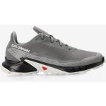 Salomon Alphacross 5 473133 29 W0 Pewter/Black/Ghost Gray – Zboží Dáma