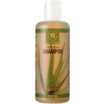 Urtekram šampon Aloe Vera 250 ml – Zbozi.Blesk.cz