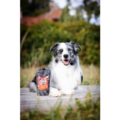 Marp Holistic Marp vývar kachní 230 ml – Zbozi.Blesk.cz