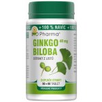 Bio-Pharma Ginkgo Biloba 40 mg 90 + 90 tablet – Hledejceny.cz