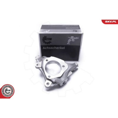 Čep nápravy, zavěšení kol ESEN SKV 47SKV521 – Hledejceny.cz