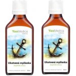 YaoMedica 042 Ukotvená myšlenka 2 x 50 ml – Hledejceny.cz