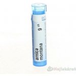 ARNICA MONTANA POR 9CH GRA 4G – Hledejceny.cz