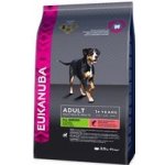 Eukanuba Adult Small & Medium Salmon 2 x 12 kg – Hledejceny.cz