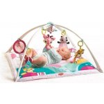 Tiny Love Hrací deka s hrazdou svět malé princezny – Zboží Dáma Tiny Love Hrací deka s hrazdou svět malé princezny – Zboží Dáma