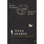 Titus Awakes - M. Gilmore, M. Peake – Hledejceny.cz
