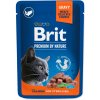 Brit Premium Cat Pouches Salmon for Sterilized 100 g