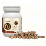 Nupreme Cordyceps extract 100 kapslí – Hledejceny.cz