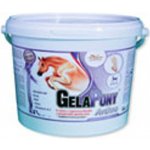 Orling Gelapony Arthro 0,9 kg – Hledejceny.cz