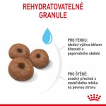 Royal Canin Starter Mother&Babydog Giant 15 kg – Sleviste.cz
