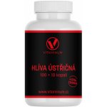 Vitaminum Hlíva ústřičná 400 mg 110 kapslí – Hledejceny.cz