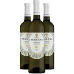 Marani RKATSITELI bílé suché víno 12,5% 3 x 0,75 l (holá láhev) – Hledejceny.cz