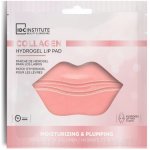 IDC Institute Hydrogelová maska na rty 1 ks – Hledejceny.cz