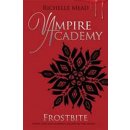 Frosbite 2 Vampire Academy