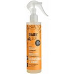 Botanic Leaf Botanic Sprej Hloubková obnova a výživa na poškozené vlasy 250 ml – Hledejceny.cz