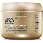 L'Oréal Expert Absolut Repair Lipidium Mask 500 ml – Zboží Dáma