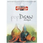 KOH-I-NOOR Blok 9920 A4 DRAW 180g 30 listů – Hledejceny.cz