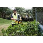 DeWALT DCM563P1 – Zboží Dáma