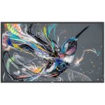 Philips 50BDL3511Q – Zboží Živě