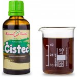 Bylinné kapky Čistec tinktura Pavlovy bylinné kapky 50 ml – Hledejceny.cz
