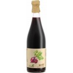 Farma u tří Dubů Červená řepa s jablkem 750 ml – Hledejceny.cz