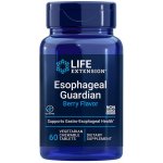 Life Extension Esophageal Guardian 60 žvýkací tablety – Hledejceny.cz