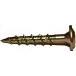 Vruty RAPI-TEC SK 6x40mm talířová hlava TX30 galvanický zinek – Hledejceny.cz