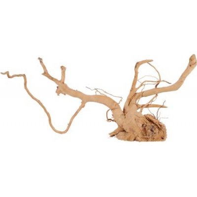 Zolux Spider Root 50-60 cm – Zbozi.Blesk.cz