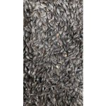 Fauna Hradil Černá slunečnice 20 kg – Zboží Mobilmania