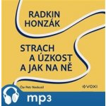 Strach a úzkost a jak na ně – Sleviste.cz