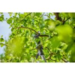 Gardena 14774-20 – Hledejceny.cz