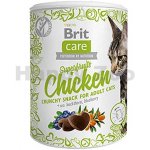 Brit Care Cat Snack Superfruits Chicken 100 g – Zbozi.Blesk.cz