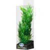 Akvarijní rostlina I--Z ATG Premium rostlina střední 26 až 32 cm 410