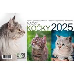 Kočky stolní týdenní 225 x 150 mm 2025 – Sleviste.cz