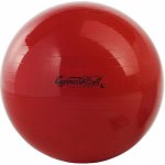 Ledragomma Gymnastik Ball 53 cm – Hledejceny.cz