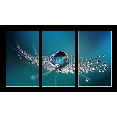 Obraz 3D třídílný - 90 x 50 cm - Beautiful dew drops on a dandelion seed macro. Beautiful soft light blue and violet background. Water drops on a parachutes dandelion on