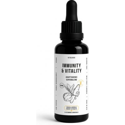 Vitalvibe Immunity & Vitality Superblend Chaga + C 60 ml – Hledejceny.cz