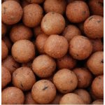 LK Baits boilies Euro Economic Spice Shrimp 5kg 18mm – Hledejceny.cz