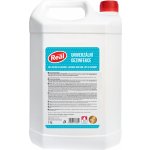 Real univerzální dezinfekce 5 l – Zboží Dáma