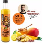 Mixit Ginger Samuraj Zázvorový nápoj s mangem 0,5 kg – Sleviste.cz