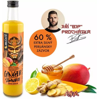 Mixit Ginger Samuraj Zázvorový nápoj s mangem 0,5 kg – Zboží Dáma