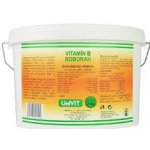 Univit Roboran Vitamin B komplex plv 2 kg – Zboží Dáma