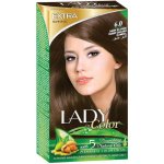 Lady in Color 6.0 tmavá blond 50 ml