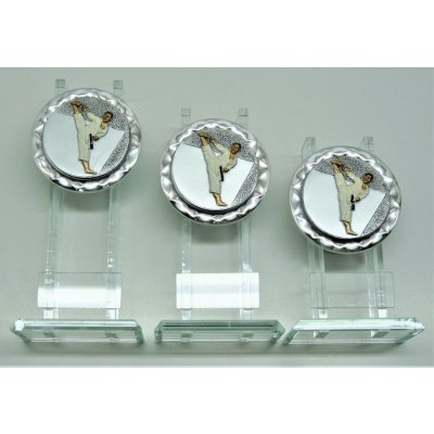 VIZINGR Karate sklo K8-FG005 – Hledejceny.cz