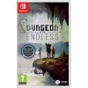 Hra na Nintendo Switch Dungeon of the Endless